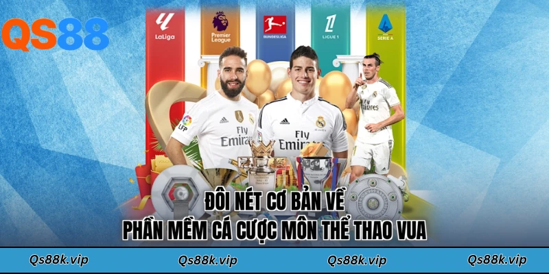 Đôi nét cơ bản về phần mềm cá cược môn thể thao vua