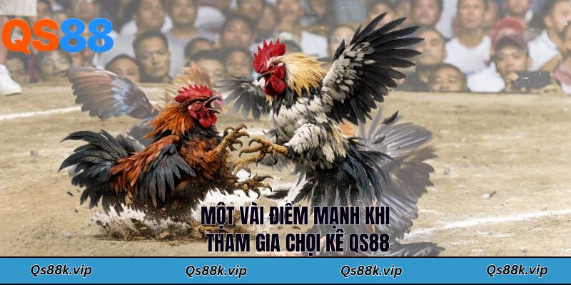 Một vài điểm mạnh khi tham gia chọi kê QS88
